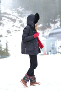 snow ski style